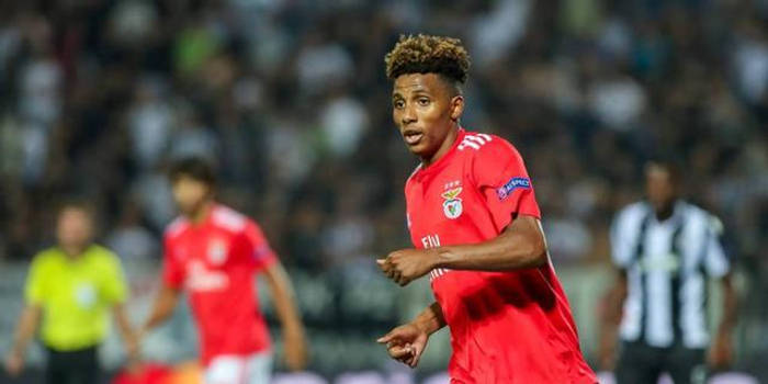 关于国际比赛日本菲卡豪取连胜：法甲节点到来，管理层满意，心理建设被强调的信息